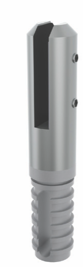 Glass Spigot, SS316, 50mm round, grout in type, with cover cap, to suit 10-12mm glass, Mirror Polish